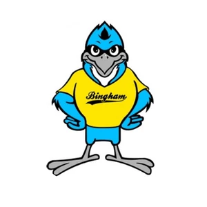 Bingham Elementary Bingham Elementary